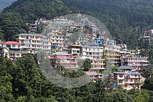 Houses and a pine forest in Himalaya mountains in Dharamsala, India