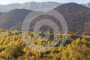 Autumn in the village of PeÃâ¢tera, Romania photo