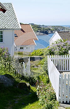 Houses by the sea photo