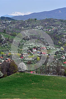 Houses seen from the top of the hill. spring time at the village