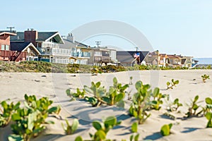 Houses that are set amid coastal sand dunes. Beautiful houses with ocean views in a small beach town