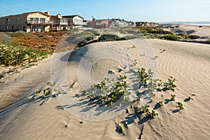 Houses that are set amid coastal sand dunes. Beautiful houses with ocean views in a small beach town, California