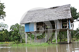 Houses on Stilts