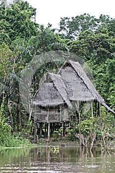 Houses on Stilts