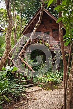 Houses on stilts in the rain forest of Khao Sok sanctuary, Thailand