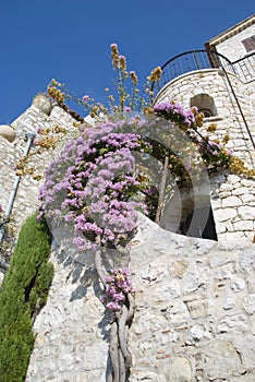 Houses of stone in eze, cote d'azur