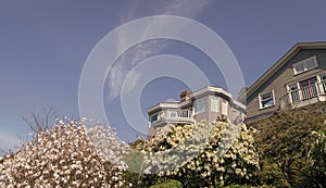 Houses in suburban area on blue sky. Residential neighborhood with spring garden