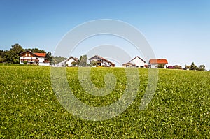 Houses surrounded by meadows