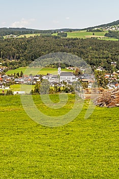 Houses surrounded by meadows