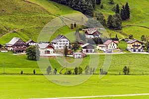 Houses surrounded by meadows