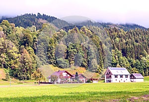 Houses surrounded by meadows