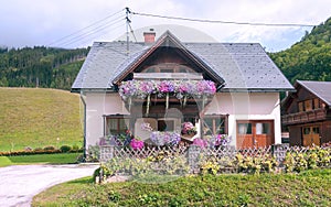 Houses surrounded by meadows