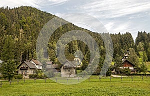 Houses surrounded by meadows