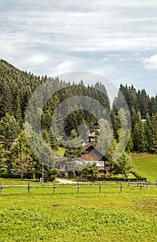 Houses surrounded by meadows