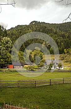 Houses surrounded by meadows