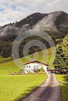 Houses surrounded by meadows