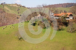 Houses on the top of hills