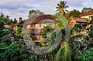 Houses in tropical forest in Ubud, Bali