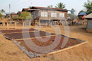 houses in a village at the boloven plateau in laos