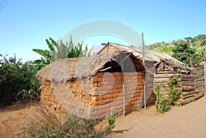 The houses of the village of Nguruwe in Tanzania, Africa 95