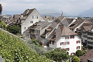 Houses and Vines, Rapperswil