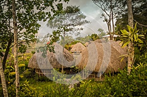 Houses in Wamena img