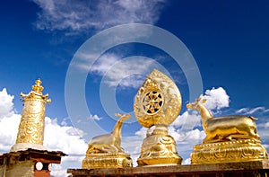 Housetop of Tibet Temple