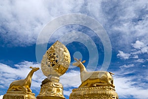Housetop of Tibet Temple