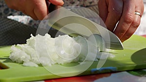 Housewife chopping onion before cooking