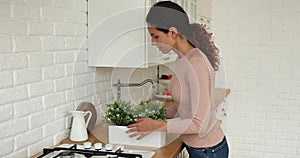 Housewife decorating kitchen with artificial or natural flowers