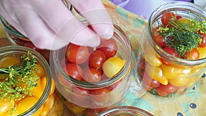 Housewife Puts Red Cherry Tomatoes in Glass Jar