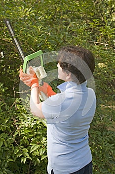 Housewife trimming bushes hedge trimmer