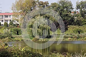 Housing estate with park and nature