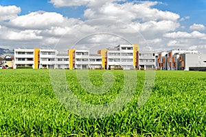 Housing estate in a summer setting.