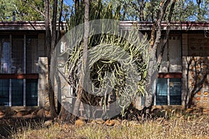 Housing On The Gem Fields In Outback Australia