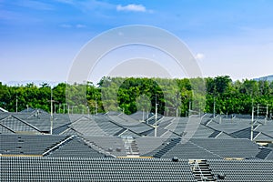 Housing roof, green forest background, bright sky