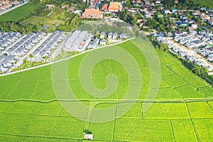 Housing subdivision in aerial view.