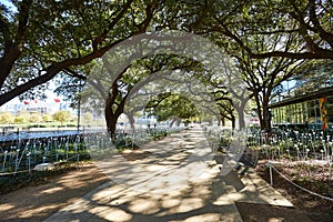 Houston Discovery green park in downtown