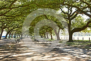 Houston Hermann park Marvin Taylor trail