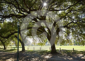 Houston Hermann park Marvin Taylor trail