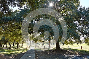 Houston Hermann park Marvin Taylor trail