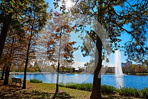 Houston Hermann park Mcgovern lake