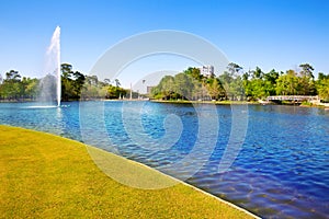 Houston Mc govern lake with spring water