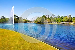 Houston Mc govern lake with spring water photo