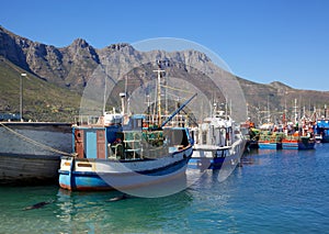 Hout Bay Harbour photo