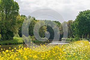 Houtrak, a small park between Haarlem and Amsterdam