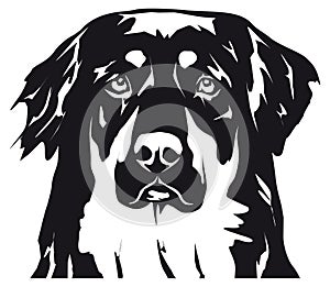 Hovavart vector head dog