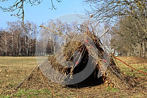 Hovel, hut of branches photo