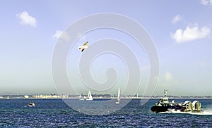 Hovercraft leaving the Isle of Wight photo