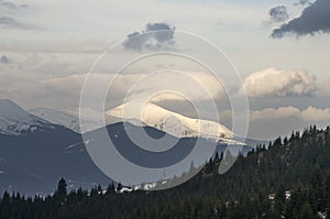 Hoverla mountain in spring.